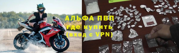 PSILOCYBIN Армянск