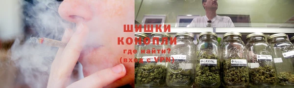 PSILOCYBIN Армянск