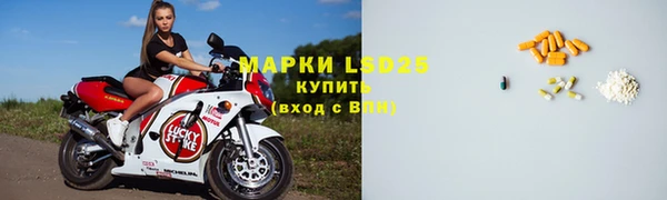 PSILOCYBIN Армянск