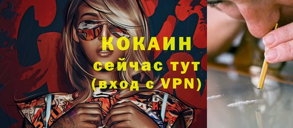 ГАЛЛЮЦИНОГЕННЫЕ ГРИБЫ Арсеньев