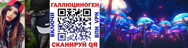 Псилоцибиновые грибы Psilocybe  Чадан 