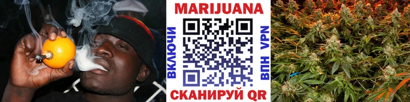 Конопля индика  Чадан 